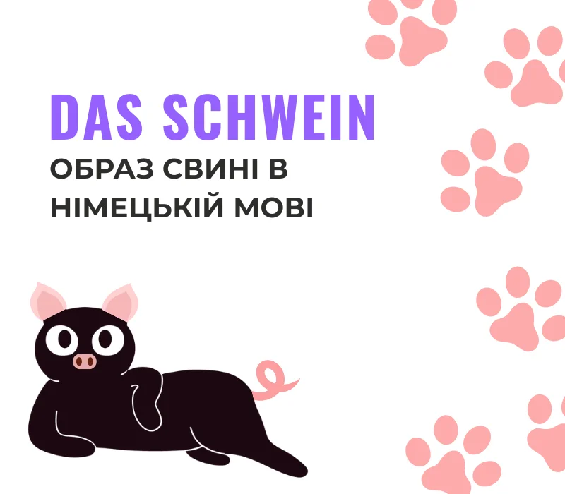 Образ свині в німецькій мові