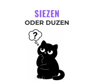 Нічого, що я на «ти»? Siezen чи duzen?