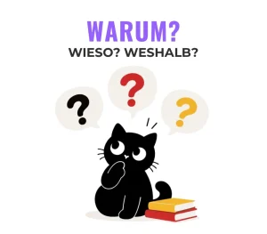 Warum? Wieso? Weshalb? У чому різниця між цими словами?